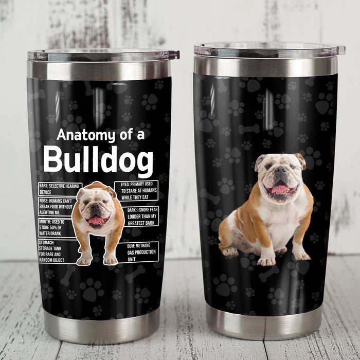 Bulldog Steel Tumbler MR1302 69O31 1