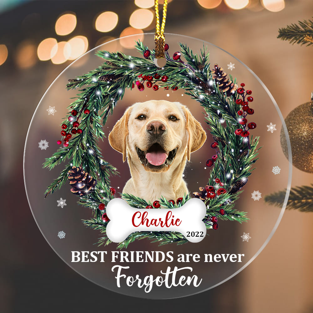 Personalized Memo Friends Are Never Forgotten Dog Photo Circle Ornament NB183 32O53 Primary Mockup