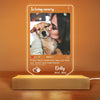 Personalized Pet Memorial Photo Post Plaque LED Lamp Night Light 23066 1