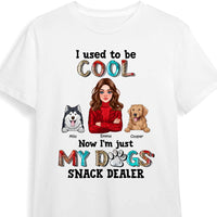 Personalized Gift I Used To Be Cool Shirt - Hoodie - Sweatshirt 24067 thumb 1