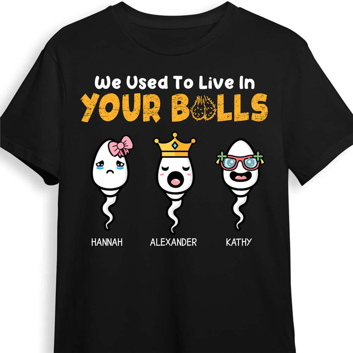 Personalized Gift We Used To Live In Your Balls Shirt - Hoodie - Sweatshirt 24181 1
