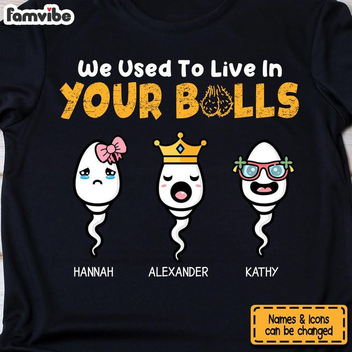 Personalized Gift We Used To Live In Your Balls Shirt - Hoodie - Sweatshirt 24181 1