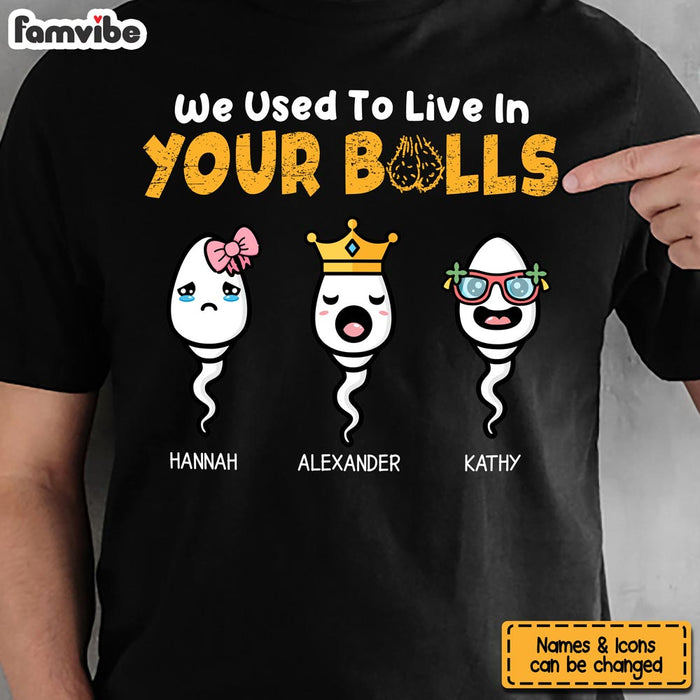 Personalized Gift We Used To Live In Your Balls Shirt - Hoodie - Sweatshirt 24181 1