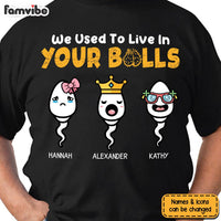 Personalized Gift We Used To Live In Your Balls Shirt - Hoodie - Sweatshirt 24181 thumb 1