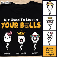 Personalized Gift We Used To Live In Your Balls Shirt - Hoodie - Sweatshirt 24181 thumb 1