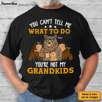 Personalized You're Not My Grandkids Shirt - Hoodie - Sweatshirt 24577 thumb 1