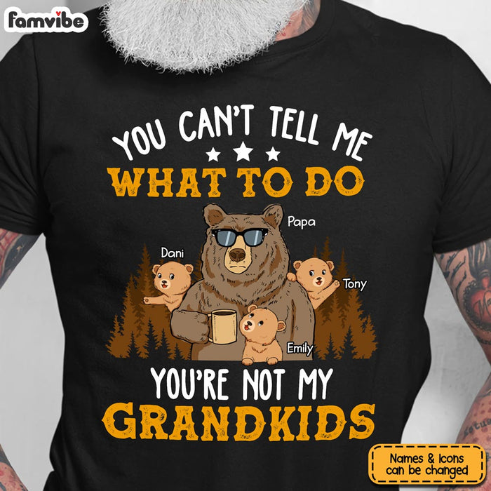 Personalized You're Not My Grandkids Shirt - Hoodie - Sweatshirt 24577 1