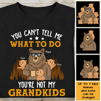 Personalized You're Not My Grandkids Shirt - Hoodie - Sweatshirt 24577 thumb 1
