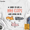 Personalized My Cats Were Laying On Me Shirt - Hoodie - Sweatshirt 24667 1
