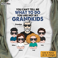 Personalized You're Are Not My Grandkids Shirt - Hoodie - Sweatshirt 24853 thumb 1