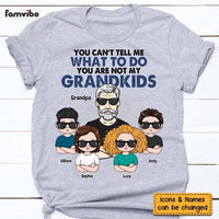 Personalized You're Are Not My Grandkids Shirt - Hoodie - Sweatshirt 24853 thumb 1