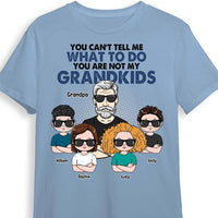 Personalized You're Are Not My Grandkids Shirt - Hoodie - Sweatshirt 24853 thumb 1