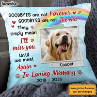 Personalized Pet Memorial Until We Meet Again Photo Pillow 25315 thumb 1