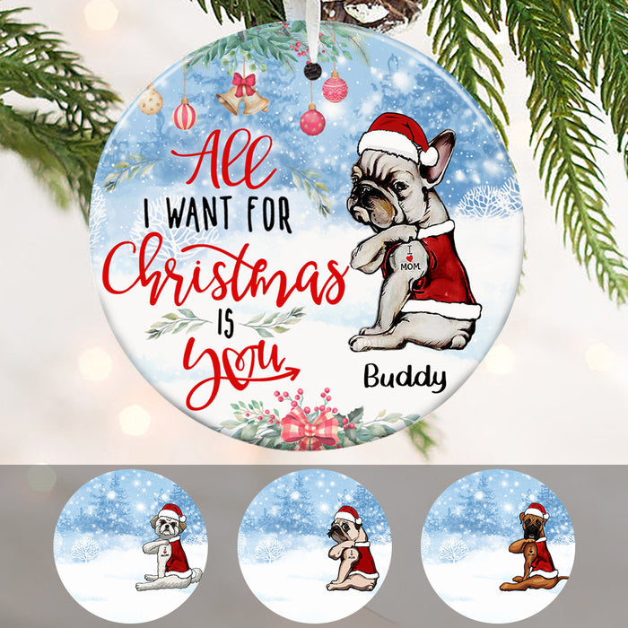 Personalized Dog All I Want For Christmas  Ornament OB71 67O36 1
