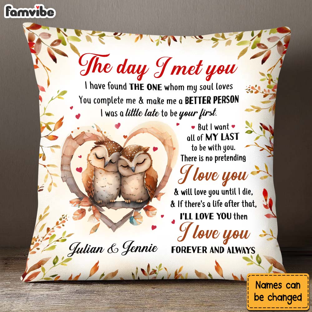 Personalized Gift For Couple Owl Couple The Day I Met You Pillow 26750 Primary Mockup