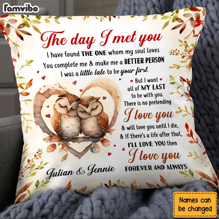 Personalized Gift For Couple Owl Couple The Day I Met You Pillow 26750 1