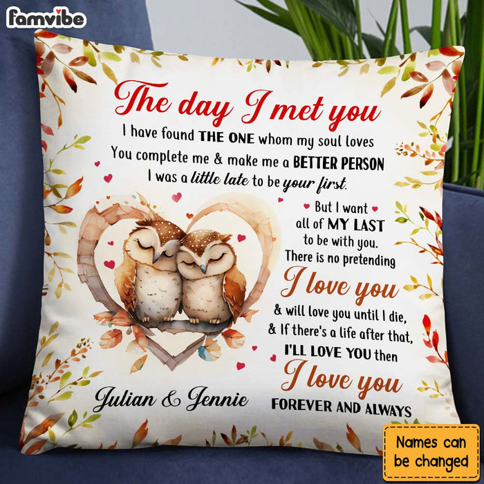 Personalized Gift For Couple Owl Couple The Day I Met You Pillow 26750 1