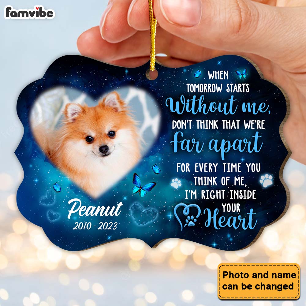 Personalized Gift For Pet Loss Memorial Benelux Ornament 29207 Primary Mockup