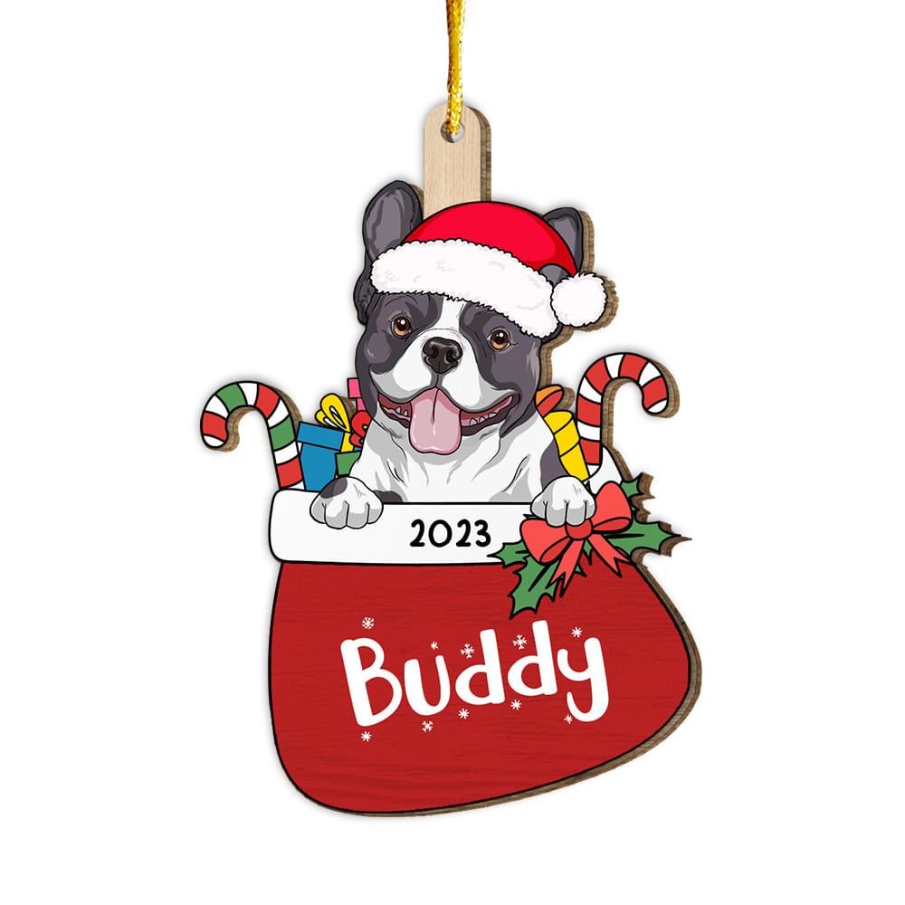 Personalized Gift For Family Christmas 2023 Dog Present Ornament 29546 Primary Mockup