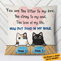 Personalized You Are Cat  Pillow DB71 30O36 (Insert Included) thumb 1
