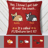Personalized Dog  Hair Furniture  Pillow SB242 87O53 1
