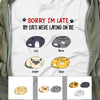 Personalized My Cats Were Laying On Me T Shirt OB282 73O58 1