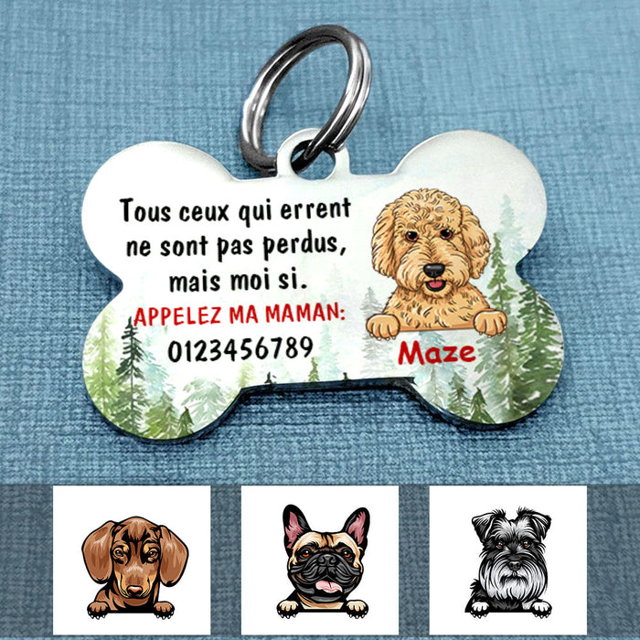 Personalized Dog Lost Chien French Bone Pet Tag AP94 81O58 1