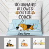Personalized No Humans Allowed On The Couch  Pillow DB43 73O34 (Insert Included) 1