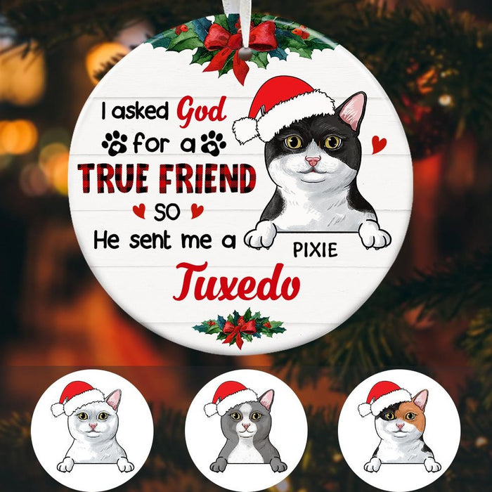 Personalized I Asked God Cat Christmas  Ornament OB204 30O47 1