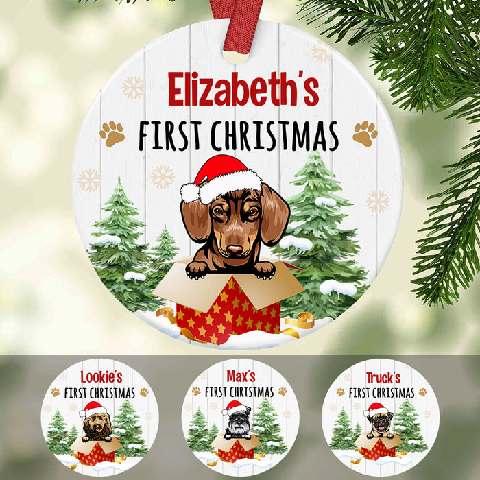 Personalized Dog First Christmas  Ornament SB291 67O34 1