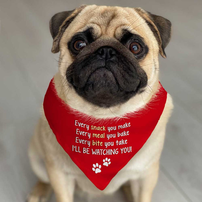 Watching Dog Bandana DB216 95O23 1