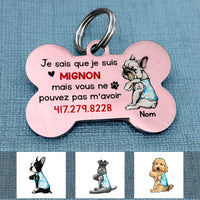 Personalized Dog I Am Cute Chien French Bone Pet Tag AP95 87O58 thumb 1