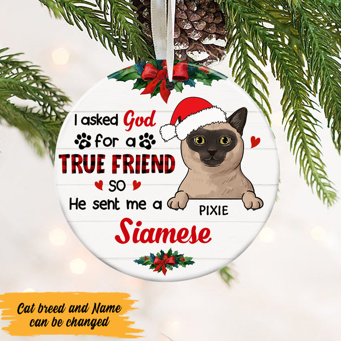 Personalized I Asked God Cat Christmas  Circle Ornament NB95 30O47 1