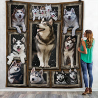 Siberian Husky Dog Sherpa Blanket NB273 81O60 thumb 1