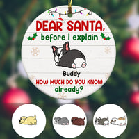 Personalized Dog Christmas Dear Santa Before I Explain  Ornament OB122 87O34 thumb 1