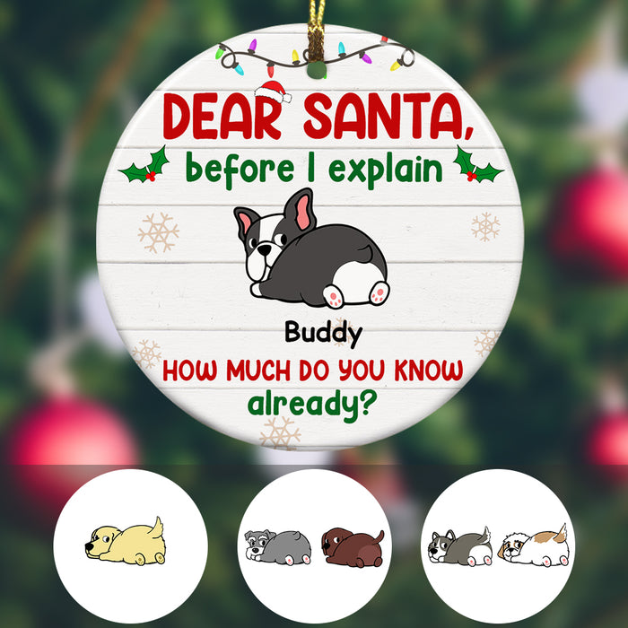 Personalized Dog Christmas Dear Santa Before I Explain  Ornament OB122 87O34 1