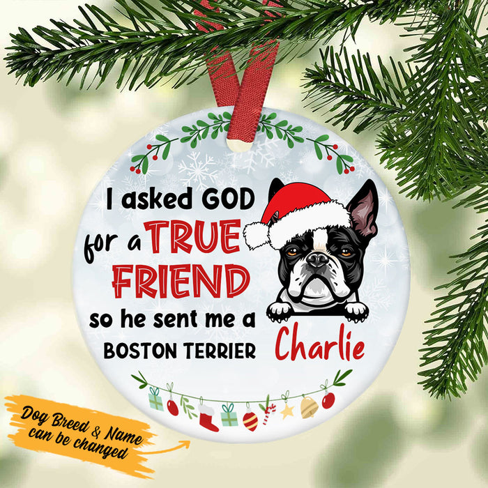 Personalized I Asked God Dog Christmas  Ornament OB221 30O53 1