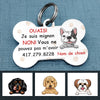 Personalized Chien Je Suis Mignon French Dog I Am Cute Bone Pet Tag AP95 67O57 1