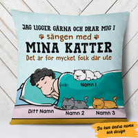 Personalized Swedish Cat Katt Pillow AP72 29O47 (Insert Included) thumb 1