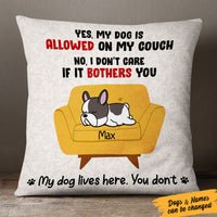 Personalized Dog Couch  Pillow SB251 81O53 (Insert Included) thumb 1