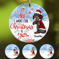 Personalized Dog All I Want For Christmas  Ornament OB71 67O36 thumb 1